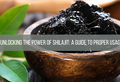 Power of Shilajit