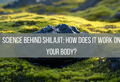 Science behind Shilajit: How does it work on your body?